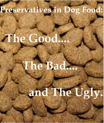 Preservatives in Dog Food: The Good, The Bad and The Ugly - Dog Foods ...